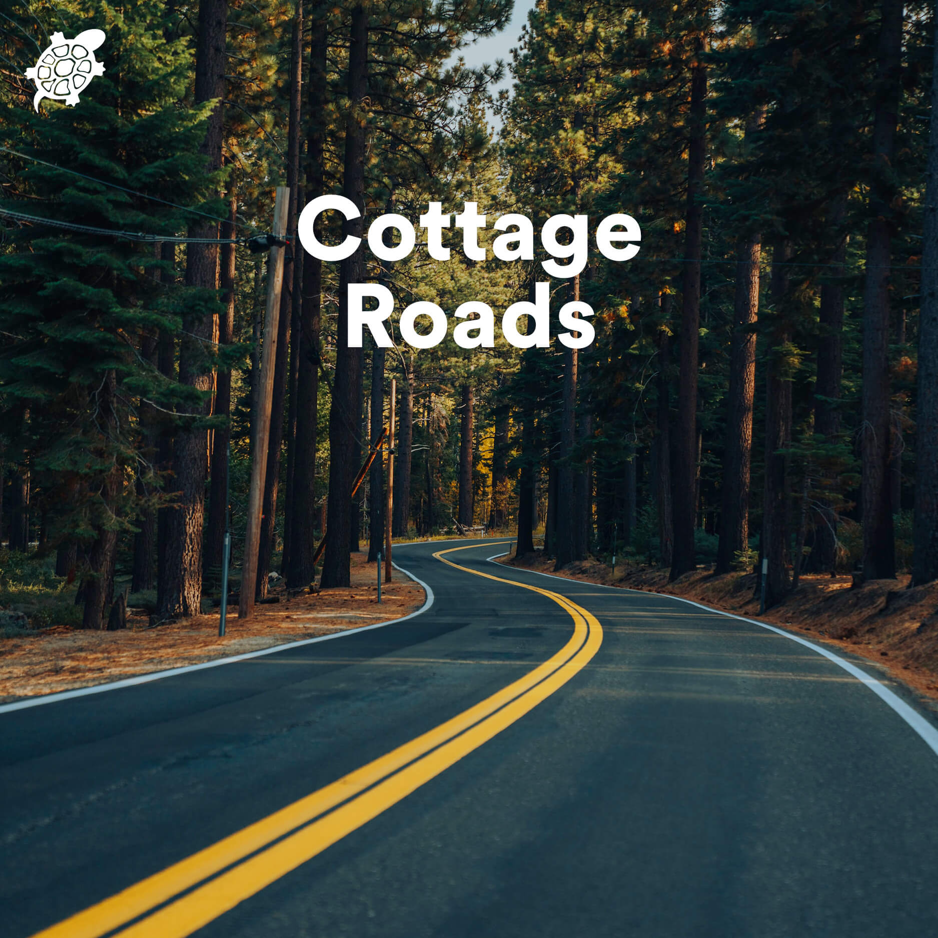 Turtle Jacks Cottage Roads Spotify Playlist